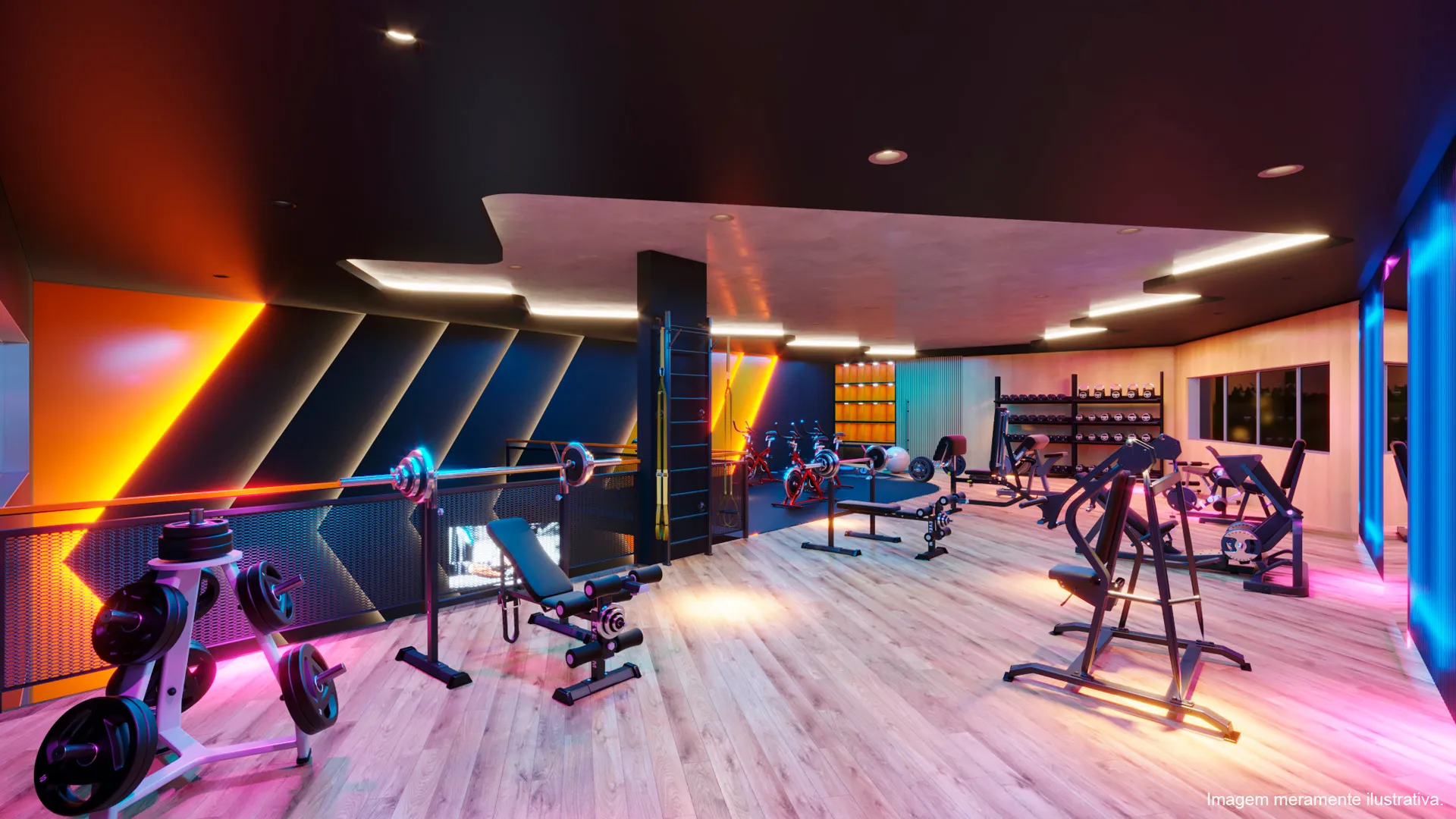 academia-horizon-0010012