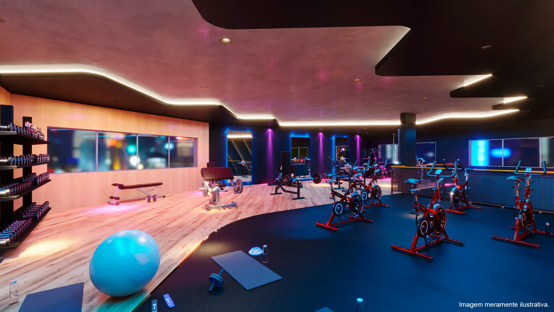 academia-horizon-0010014